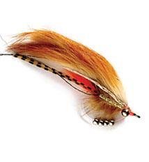 Avalon Permit Fly